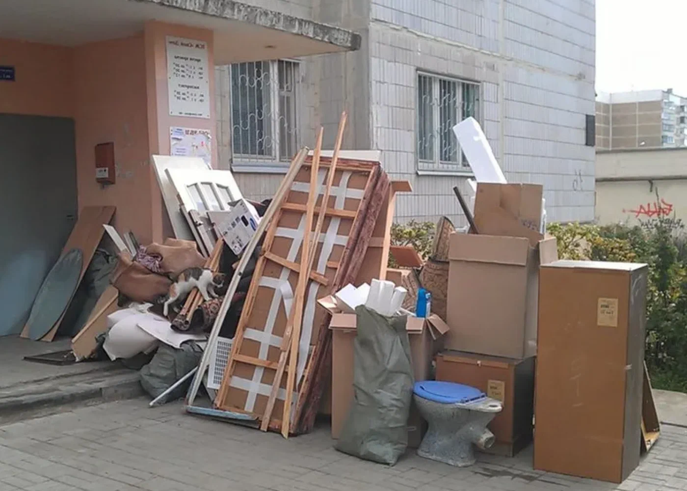 Профессиональный вывоз мусора из квартиры в Отрадном в октябре