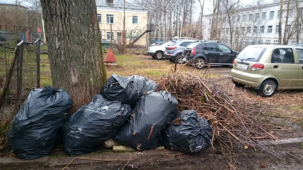 Вывоз мусора после субботника в Отрадном от ПроМусор – уборка и утилизация отходов от 2554 руб