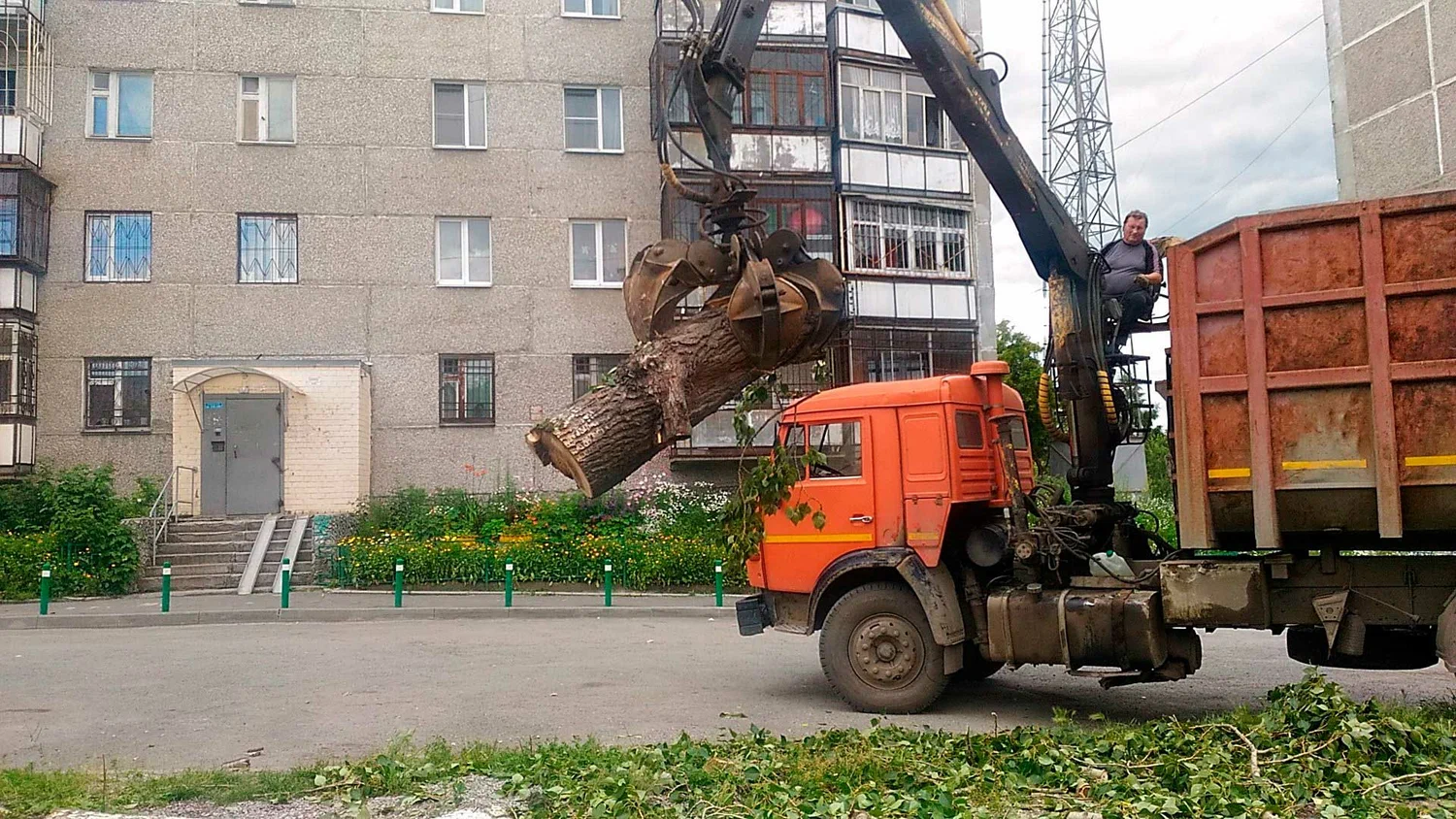 Вывоз спиленных веток и деревьев в Отрадном от ПроМусор: порубочные остатки, утилизация, цена от 3152 руб