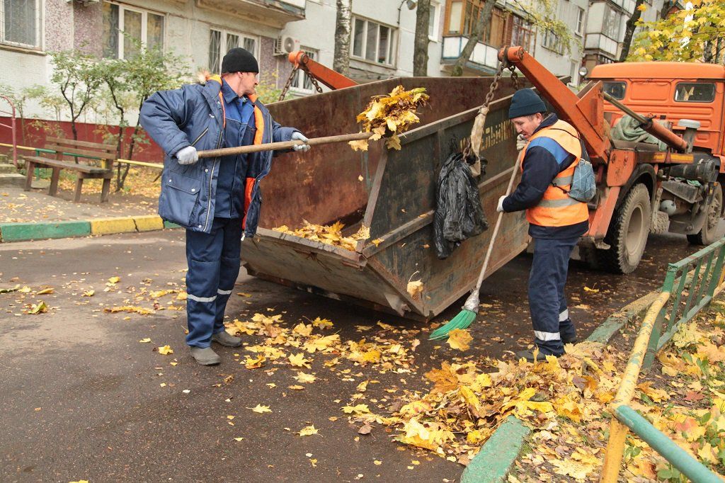 Вывоз опавшей листвы и растительного мусора в Отрадном от ПроМусор – цена от 4892 руб., быстрая уборка и утилизация